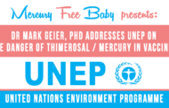 United Nations Environment Programme (UNEP) Testimonies on Mercury
