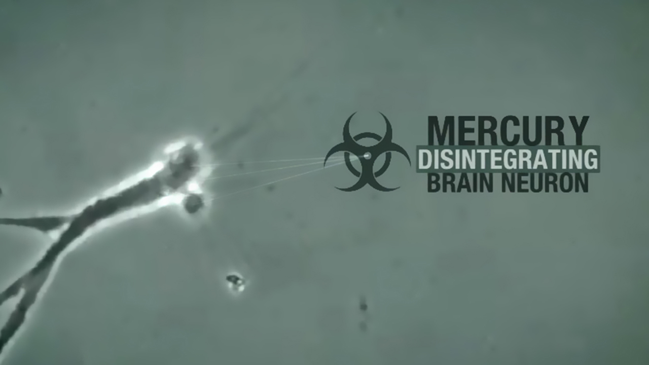 Mercury destroying brain neurons mercury - mercury brain neurons 1280 720 - Mercury in Vaccines &#8211; 10 Lies About The Safety of Thimerosal